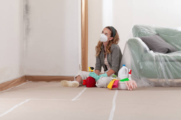 Reliable Basement Mold Remediation contractor in Little Falls, NY by WQB Mold Removal